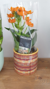 santorini florist gifts